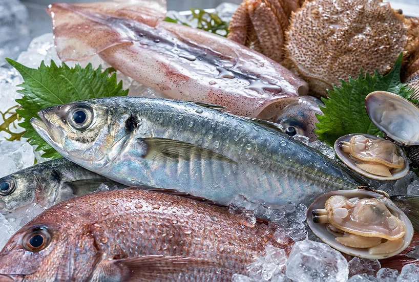 鮮魚